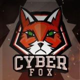 Cyber FoX