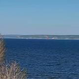 Репортёр Папилкин