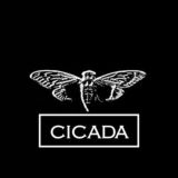 CICADA ОПТОВЫЙ ПОСТАВЩИК