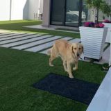 𝙵𝙻𝙰𝚅𝙸𝙾 𝙼𝙰𝚁𝚁𝙴𝚂