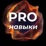 Дмитрий Черемисин | PRO навыки