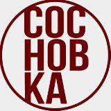 Институт СосновКа: Дизайн интерьера