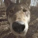 Пепе Объясняет