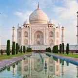 Prediction For All LC Members