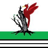 Елабуга Светлый