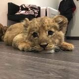 для себя 💌^