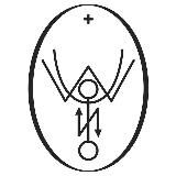 Oleg Lohnes Revi-Technology