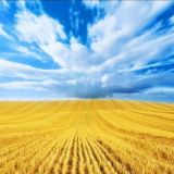 Простір Єдності Пологівського району «ДОПОМОГА ПОРУЧ»