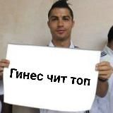 Gines Cheats