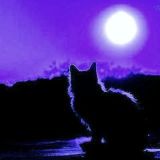 НОВЫЙ МИРОВОЙ БАРДАК ГРУППА 🔆