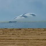 Женщина у моря | Психология перемен