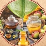 Домашний лекарь/ Семейная медицина