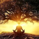 سکوت ذهن Royal silencemind