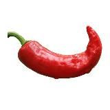 Volunteer - Криптобудни