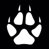 x Wolf Music x