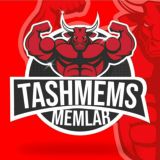 Oybolta 🪓 | Tezkor Yangiliklar