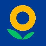 Группа Лента