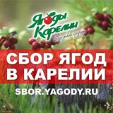 SBOR.YAGODY.RU