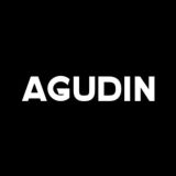 AGUDIN_STORE