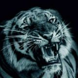 𝙔𝙄𝙂𝙄𝙏𝙇𝙄𝙆 𝘿𝘼𝙑𝙍𝙄𝙈 ☝️