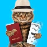 Вокруг света 🌍