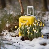 Жёлтый чемодан