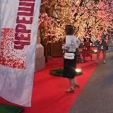 Тань, что нового?