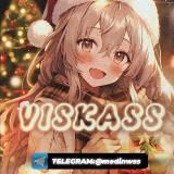 🧊ＶＩＳＫＡＳＳ🧊