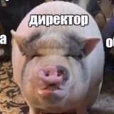 Плохие шутки