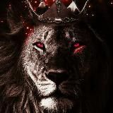 BORSA ASLANI ENDEKSİ 🇹🇷