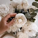 lakrica_home 🐿️