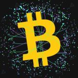 BITCOIN PARTNER Chat