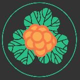 ЭКОПРАКСИЯ