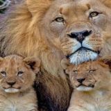 КРАСНОДАР - МОСКВА ТАКСИ ХИЗМАТИ