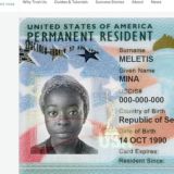 Winners DV 2027 / 2026