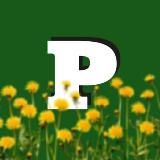 Ревдинский рабочий | Ревда