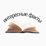 Интересные факты