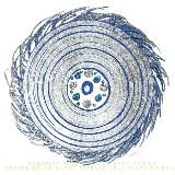 EVOLUCIÓN. SOY DH'LY. APOYO A QUE RECONOZCAS TU CONSCIENCIA. NAVE ZALLIFE💎. ANDROMEDANA