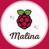 Кокетка Плюс