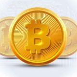 بوت اكسب دولارات