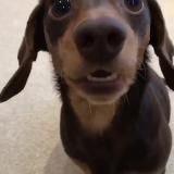 📚Literary influence📝