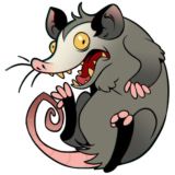 Braderunner Comments