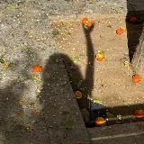 дневник лернемор