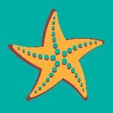 На море та екскурсії✈️🚌🚢