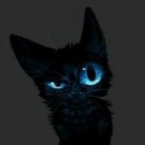 Черный кот|Юмор|Видио|Приколы|Анекдоты