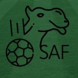 Футбол Саудовской Аравии | Саудовская Про-Лига | Азиатская Лига Чемпионов Chat
