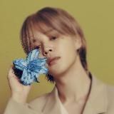 мамвик стор 🌙