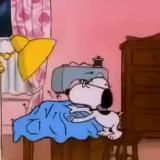 Даша Дружочек