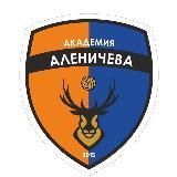 Академия Аленичева