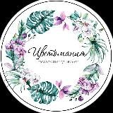 Цветомания